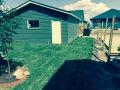 AllCareLawnCare1