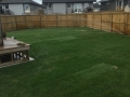 AllCareLawnCare6