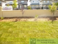 tanners_planting_bed_finished_17