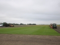 Field view